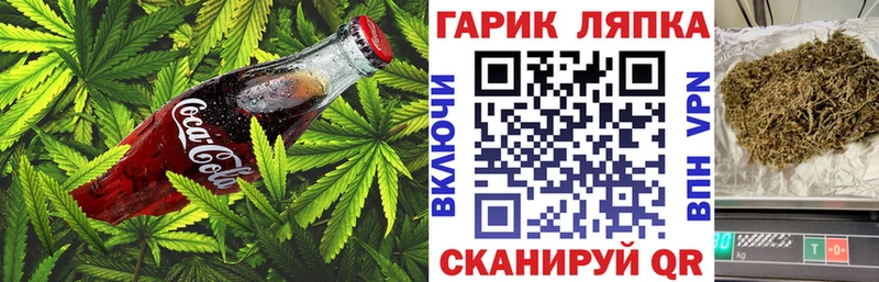 Canna-Cookies марихуана  Купить  Камызяк 