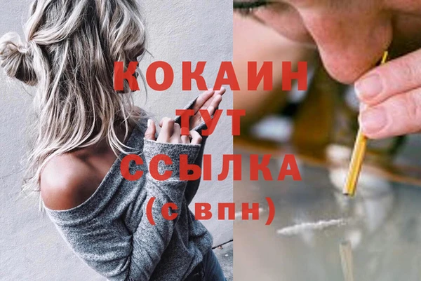 ПСИЛОЦИБИНОВЫЕ ГРИБЫ Липки