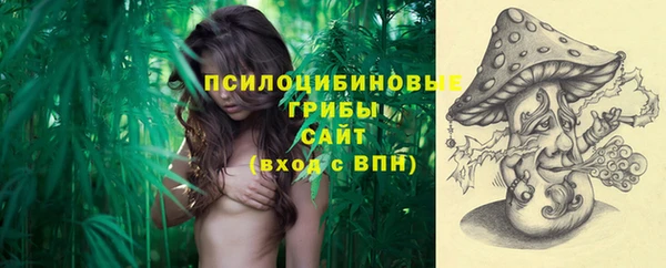 ПСИЛОЦИБИНОВЫЕ ГРИБЫ Липки