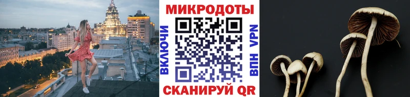 Псилоцибиновые грибы мицелий  Купить где  Камызяк 