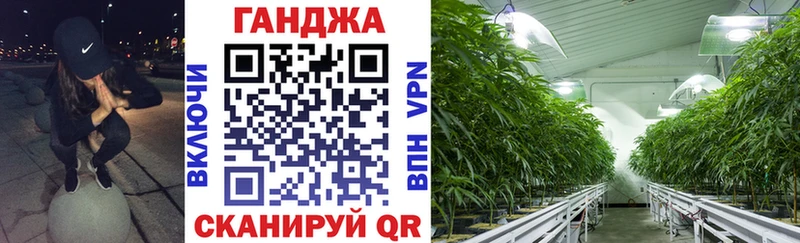 Купить где  Камызяк  Канабис Bruce Banner 